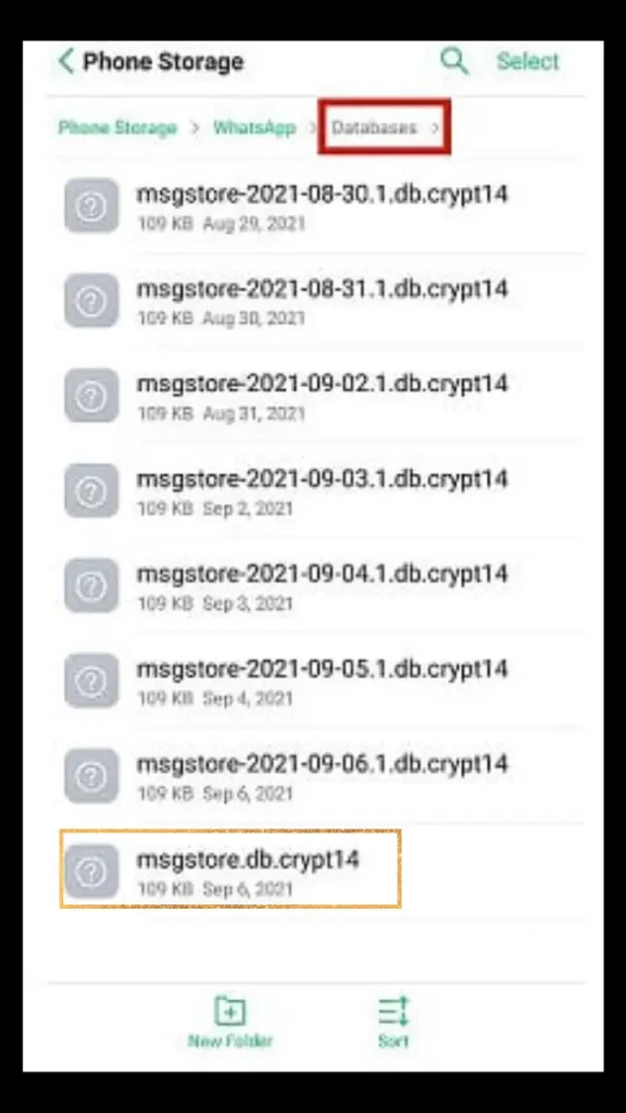 Database option, msgstore.db.crypt